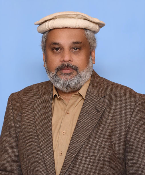 Sahibzada Hamid Raza